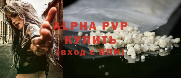 ешки Новодвинск