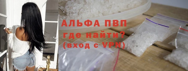 ешки Новодвинск