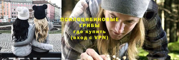 ешки Новодвинск