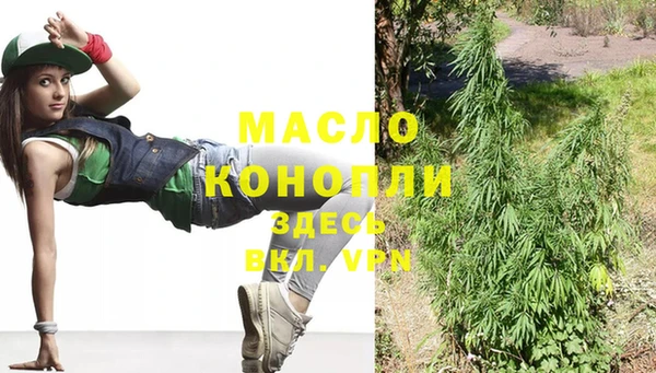 ешки Новодвинск