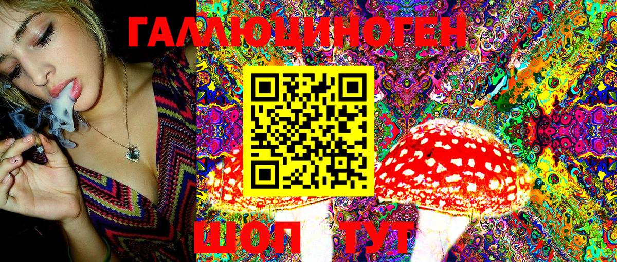Урюпинск  Псилоцибиновые грибы Magic Shrooms  Галлюциногенные грибы MAGIC MUSHROOMS  цена наркотик  Вход с VPN 